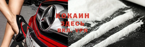 гашик Горняк