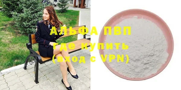 гашик Горняк