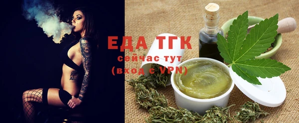 гашик Горняк