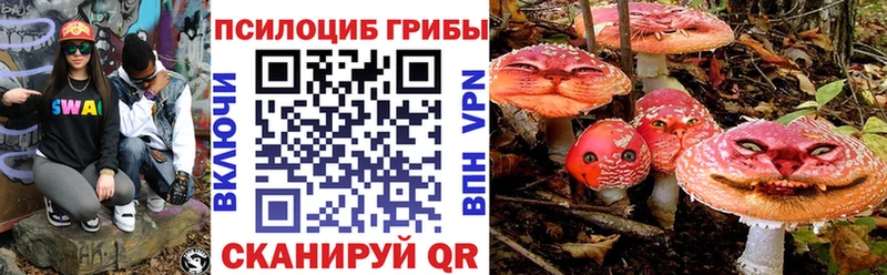 Галлюциногенные грибы мухоморы  Купить  Жуков 